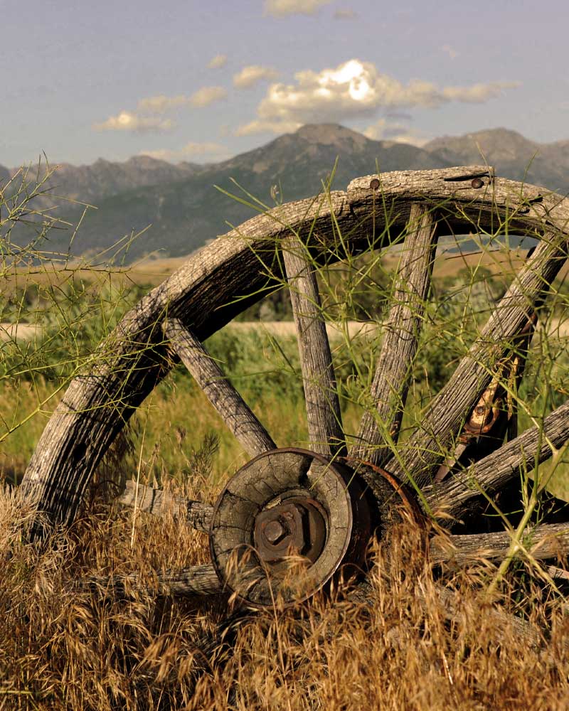 farmland-wheel-800x1000